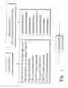 Fig. 02 - COMPOSITE MAILLARD-RESOLE BINDERS