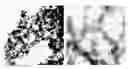 Fig. 01 - Formation of Surface Modified Metal Colloids