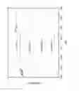 Fig. 14 - Formation of Surface Modified Metal Colloids