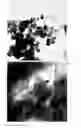 Fig. 16 - Formation of Surface Modified Metal Colloids