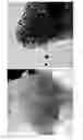 Fig. 24 - Formation of Surface Modified Metal Colloids