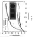 Fig. 07 - Electrothermal coating with nanostructures mixture and method for making the same