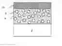Fig. 01 - PORE-FILL COMPOSITIONS