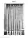 Fig. 02 - LAMINATE BODY AND ACTIVE-ENERGY-RAY-CURABLE INK COMPOSITION USING SAME