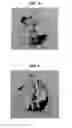 Fig. 03 - DRILLING FLUID COMPOSITION AND METHOD USEFUL FOR REDUCING ACCRETION OF BITUMIN ON DRILL COMPONENTS
