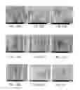 Fig. 29 - Core-shell triggered release systems