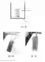 Fig. 35 - Core-shell triggered release systems