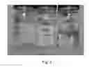 Fig. 04 - Composition including functionalized polysaccharide for treatment of subterranean formations