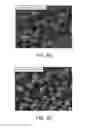 Fig. 07 - Method of manufacturing fluoride phosphor, white light emitting apparatus, display apparatus, and lighting device