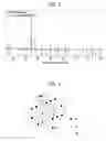Fig. 03 - BORON NITRIDE PHOSPHOR, METHOD FOR MANUFACTURING THE SAME AND LIGHT EMITTING DEVICE PACKAGE INCLUDING THE SAME