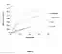 Fig. 07 - ALPHA-AMYLASES FROM EXIGUOBACTERIUM, AND METHODS OF USE, THEREOF