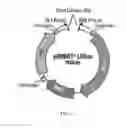 Fig. 08 - PHOTOBIOREACTOR