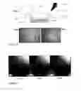 Fig. 10 - Microfluidic cell culture systems