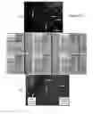 Fig. 20 - Microfluidic cell culture systems