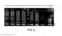 Fig. 04 - Patient-specific stem cell lines derived from human parthenogenetic blastocysts