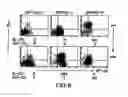Fig. 08 - Mesoderm and definitive endoderm cell populations