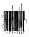Fig. 12 - Mesoderm and definitive endoderm cell populations