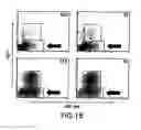Fig. 20 - Mesoderm and definitive endoderm cell populations