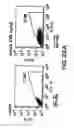 Fig. 24 - Mesoderm and definitive endoderm cell populations