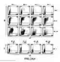 Fig. 41 - Mesoderm and definitive endoderm cell populations