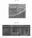 Fig. 06 - Method for producing anterior eye segment tissue