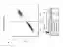 Fig. 08 - Derivation of human microglia from pluripotent stem cells