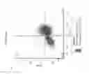 Fig. 10 - Derivation of human microglia from pluripotent stem cells