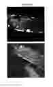 Fig. 46 - Compositions for mesoderm derived ISL1+ multipotent cells (IMPs), epicardial progenitor cells (EPCs) and multipotent C56C cells (C56Cs) and methods of producing and using same
