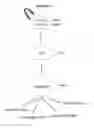 Fig. 50 - Compositions for mesoderm derived ISL1+ multipotent cells (IMPs), epicardial progenitor cells (EPCs) and multipotent C56C cells (C56Cs) and methods of producing and using same