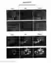 Fig. 56 - Compositions for mesoderm derived ISL1+ multipotent cells (IMPs), epicardial progenitor cells (EPCs) and multipotent C56C cells (C56Cs) and methods of producing and using same