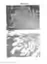 Fig. 69 - Compositions for mesoderm derived ISL1+ multipotent cells (IMPs), epicardial progenitor cells (EPCs) and multipotent C56C cells (C56Cs) and methods of producing and using same