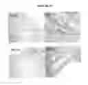 Fig. 74 - Compositions for mesoderm derived ISL1+ multipotent cells (IMPs), epicardial progenitor cells (EPCs) and multipotent C56C cells (C56Cs) and methods of producing and using same