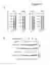 Fig. 92 - Compositions for mesoderm derived ISL1+ multipotent cells (IMPs), epicardial progenitor cells (EPCs) and multipotent C56C cells (C56Cs) and methods of producing and using same
