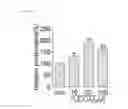Fig. 15 - Process for enhancing stem cell bioactivity using tauroursodeoxycholic acid