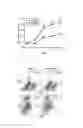Fig. 19 - Process for enhancing stem cell bioactivity using tauroursodeoxycholic acid