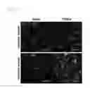 Fig. 20 - Process for enhancing stem cell bioactivity using tauroursodeoxycholic acid