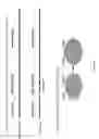 Fig. 04 - Compositions of and methods for in vitro viral genome engineering