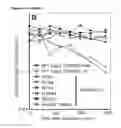 Fig. 10 - MODIFIED CASCADE RIBONUCLEOPROTEINS AND USES THEREOF