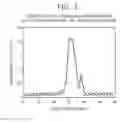 Fig. 03 - B-1,3-glucanase, polynucleotide, recombinant vector, transformant, production method for B-1,3- glucanase, enzyme preparation, and production method for paramylon having reduced molecular weight