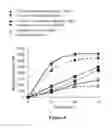 Fig. 08 - ARTIFICIAL CELLULOSOMES COMPRISING MULTIPLE SCAFFOLDS AND USES THEREOF IN BIOMASS DEGRADATION