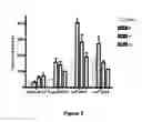 Fig. 03 - Aspartic proteases