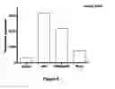 Fig. 07 - Aspartic proteases
