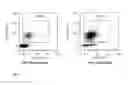 Fig. 07 - Multisort cell separation method