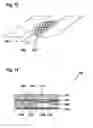 Fig. 08 - Method and Device for Processing a Sample of Biological Material Containing Target Cells and Companion Cells in Order to Extract Nucleic Acids of the Target Cells