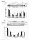 Fig. 03 - C-myc antisense oligonucleotides and methods for using the same to treat cell-proliferative disorders