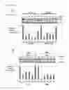Fig. 04 - C-myc antisense oligonucleotides and methods for using the same to treat cell-proliferative disorders