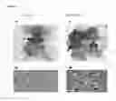 Fig. 08 - C-myc antisense oligonucleotides and methods for using the same to treat cell-proliferative disorders