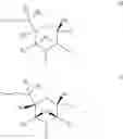 Fig. 04 - Bicyclic morpholino compounds and oligomeric compounds prepared therefrom
