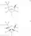 Fig. 11 - Bicyclic morpholino compounds and oligomeric compounds prepared therefrom