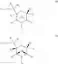 Fig. 20 - Bicyclic morpholino compounds and oligomeric compounds prepared therefrom